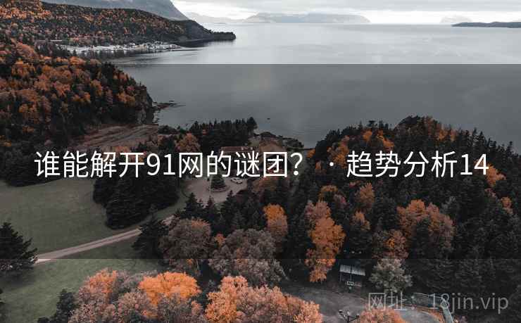 谁能解开91网的谜团？ · 趋势分析14