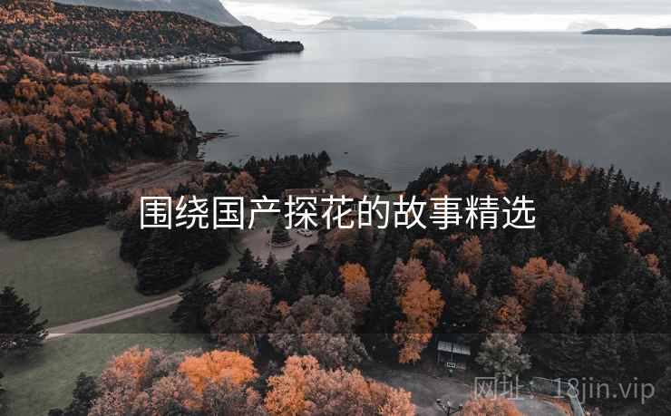 围绕国产抖阴的故事精选
